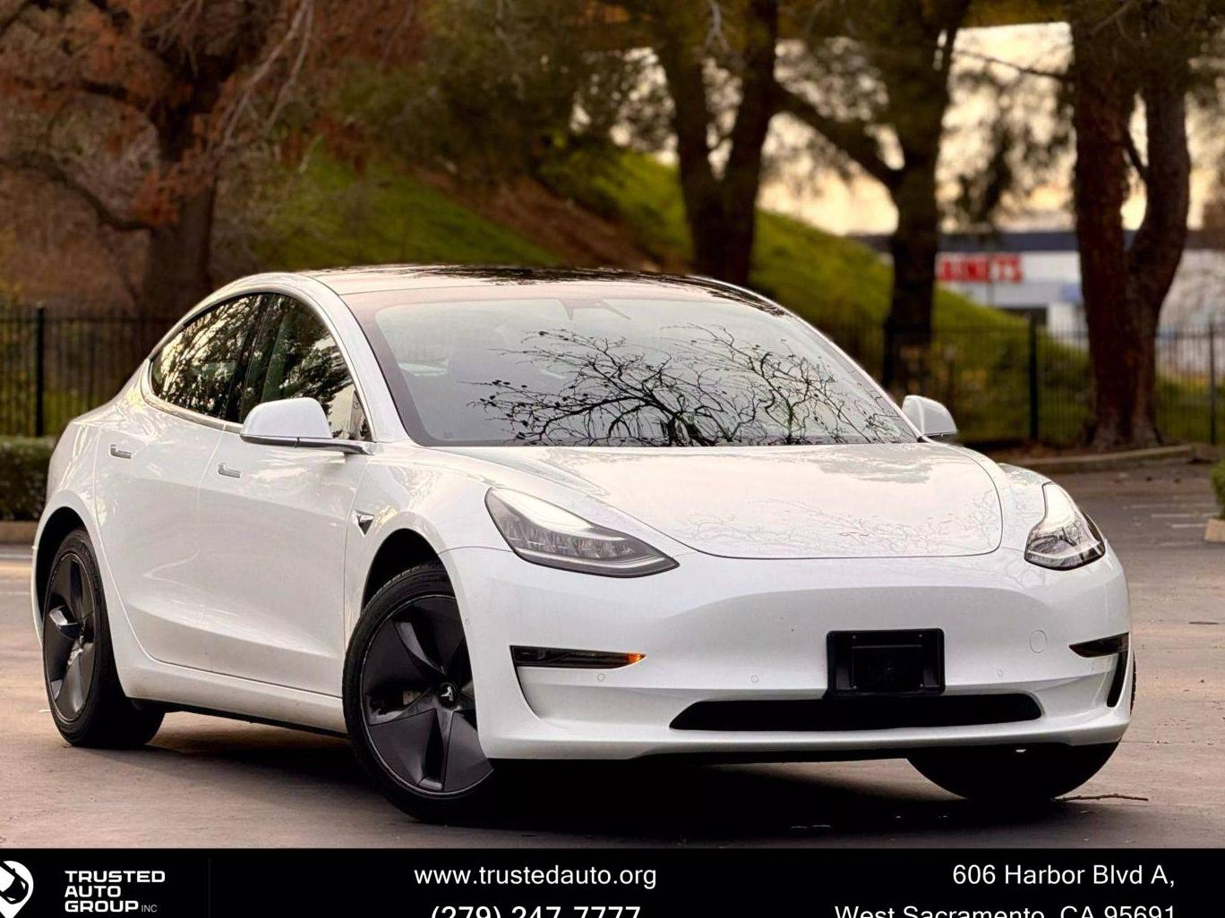 TESLA MODEL 3 2020 5YJ3E1EA6LF803990 image